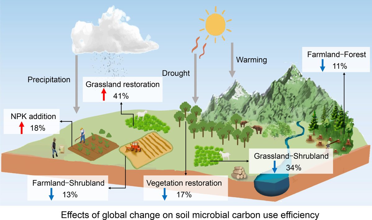 ykuzyakov's tweet photo. 💥NEW in @GlobalChangeBio
#GlobalChange Modulates Microbial #CarbonUseEfficiency: Mechanisms and Impacts on #SoilOrganicCarbon
https://t.co/W2F6pVttcw
#SoilOrganicMatter #soil #microbialbiomass #ClimateChange #landuse
#Fertilisers #Phosphorus #nitrogen https://t.co/95txHD2jjz