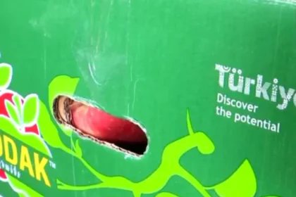 SP_OO_JA_97's tweet photo. HUGE LOSS for Turkey

India's fruit markets start boycotting Turkish Apples!

APMC Pune traders confirm: “Customers refusing to buy them!”

Nation First! 🇮🇳

#BoycottTurkey #BoycottApple #Trump #DonaldTrump #Turkey #Apple https://t.co/uJM4ESQK8b