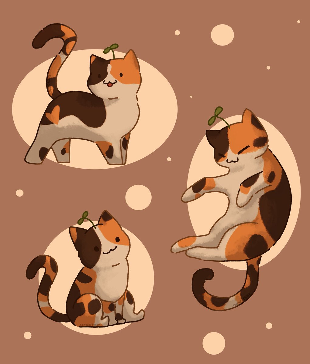 lead calico cat 🌱🐱
#cat #cuteart