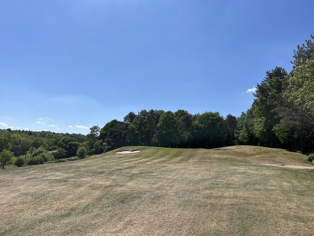 Brown is the new green. I kinda like it.