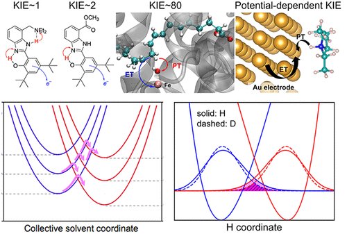 Princeton Chemistry (@princetonchem) on Twitter photo Highlighting this recent article in Accounts of Chemical Research by <a href="/PrincetonChem/">Princeton Chemistry</a>’s Sharon Hammes-Schiffer: “Explaining Kinetic Isotope Effects in Proton-Coupled Electron Transfer Reactions.”
To read: bit.ly/4kleN4W Highlighting this recent article in Accounts of Chemical Research by <a href="/PrincetonChem/">Princeton Chemistry</a>’s Sharon Hammes-Schiffer: “Explaining Kinetic Isotope Effects in Proton-Coupled Electron Transfer Reactions.”
To read: bit.ly/4kleN4W