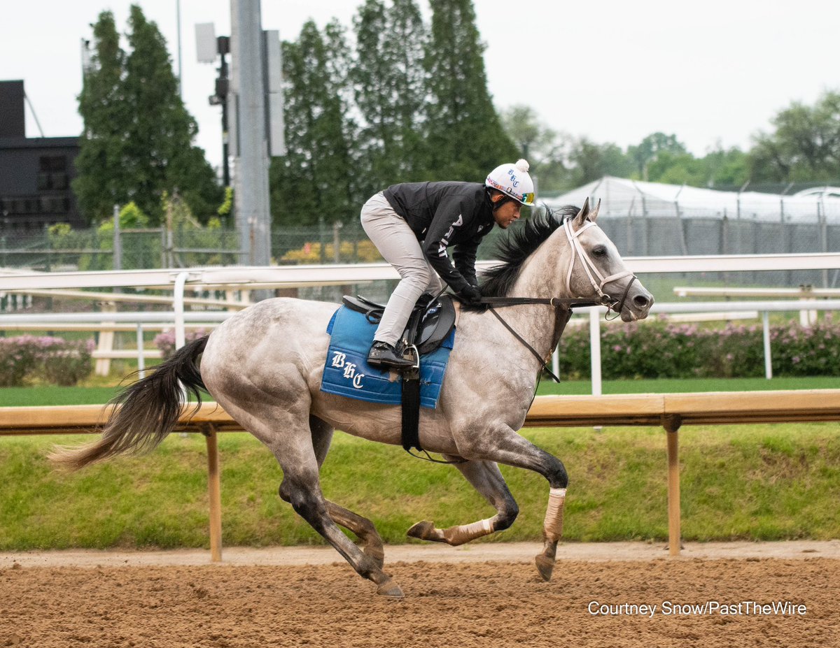 G1 winner Saudi Crown galloping on April 26th