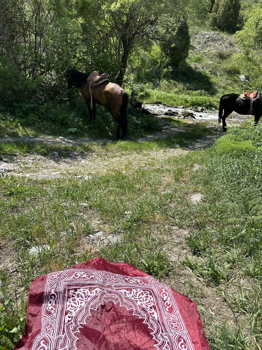 fitrahjournal's tweet photo. Somewhere in the mountains of Kazakhstan 🇰🇿 https://t.co/X5e3Zutsqx