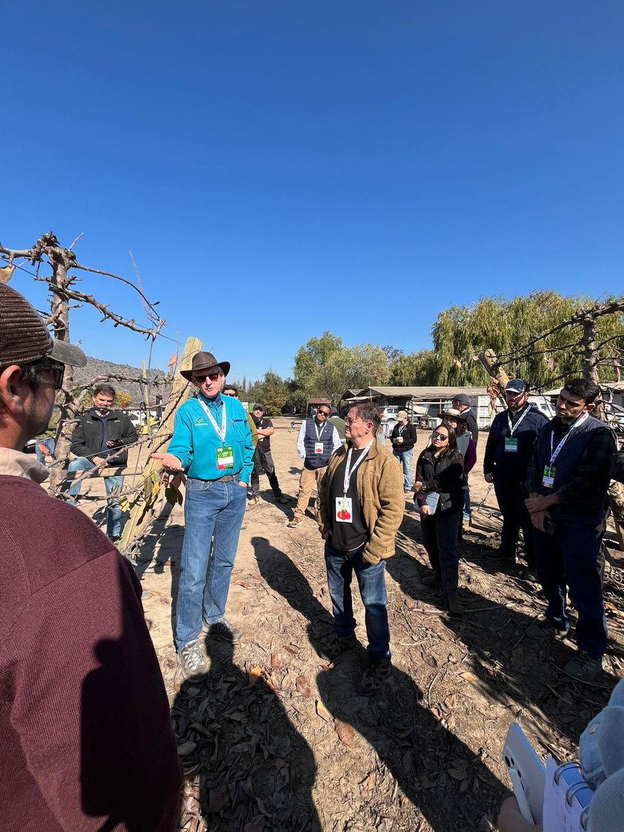 mundoagrochile's tweet photo. #GregLang, PhD., profesor Universidad Estatal de Michigan y referente mundial transmite sus conocimientos y experiencia a todos los participantes del primer #DíadeCampo en Requínoa 📍
Tema clave: "Estrategias de manejo invernales en cerezos"!🍒 https://t.co/MKZcEX7oAc