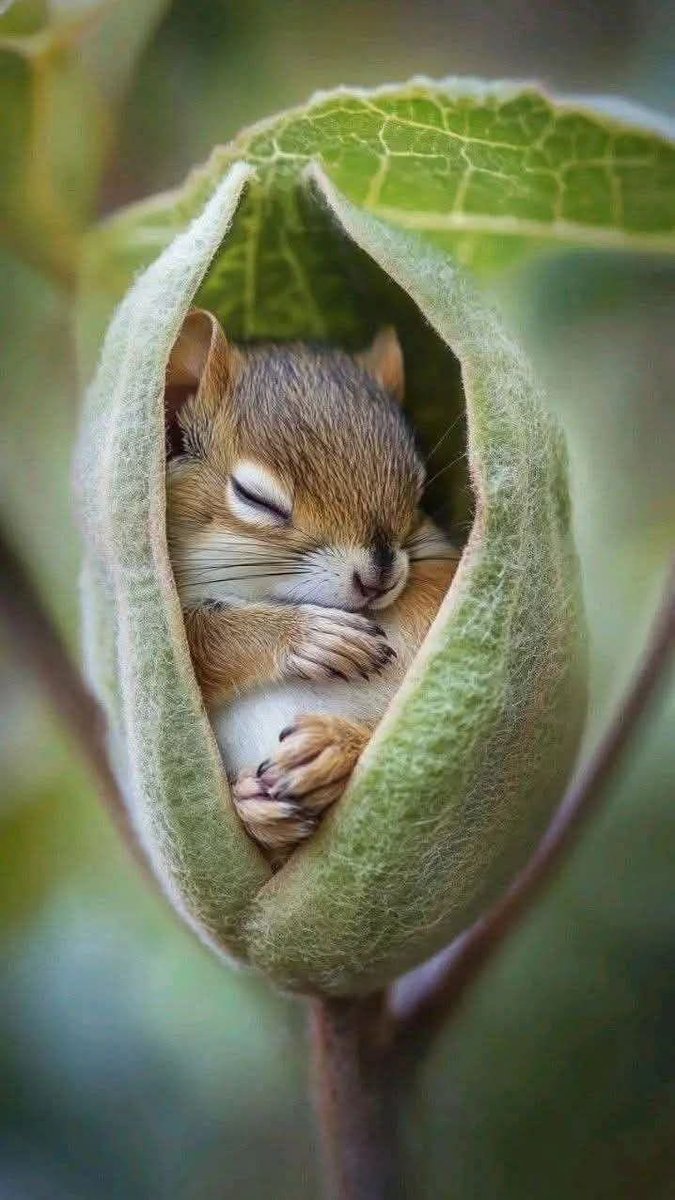 Adry ❥ 🇦🇷 tweet media