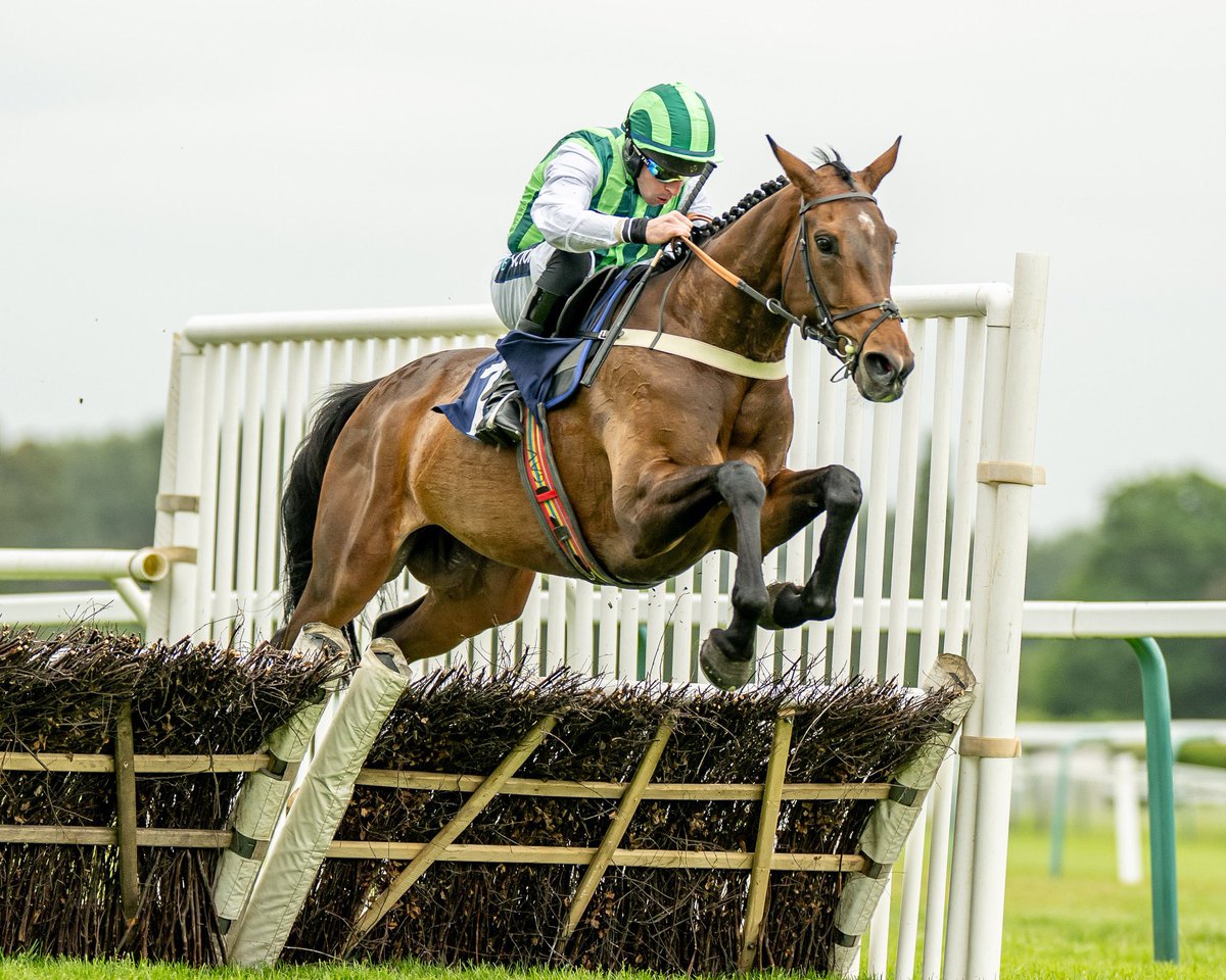 Tattersalls Online (@tatts_online) on Twitter photo ๐#TattsOnline WINNER ๐
Online October Sale topper ๐๐๐ ๐๐ ๐
๐๐ ๐๐ ๐๐๐๐ gets off the mark under rules for <a href="/jamiesnowden/">Jamie Snowden</a> today at Fontwell.
A winning <a href="/irishp2p/">p2p.ie</a> graduate sold by <a href="/BaltimoreStable/">Baltimore Stables</a> to <a href="/tommalone600/">Tom Malone</a> for 42,000gns ๐๐ป ๐#TattsOnline WINNER ๐
Online October Sale topper ๐๐๐ ๐๐ ๐
๐๐ ๐๐ ๐๐๐๐ gets off the mark under rules for <a href="/jamiesnowden/">Jamie Snowden</a> today at Fontwell.
A winning <a href="/irishp2p/">p2p.ie</a> graduate sold by <a href="/BaltimoreStable/">Baltimore Stables</a> to <a href="/tommalone600/">Tom Malone</a> for 42,000gns ๐๐ป