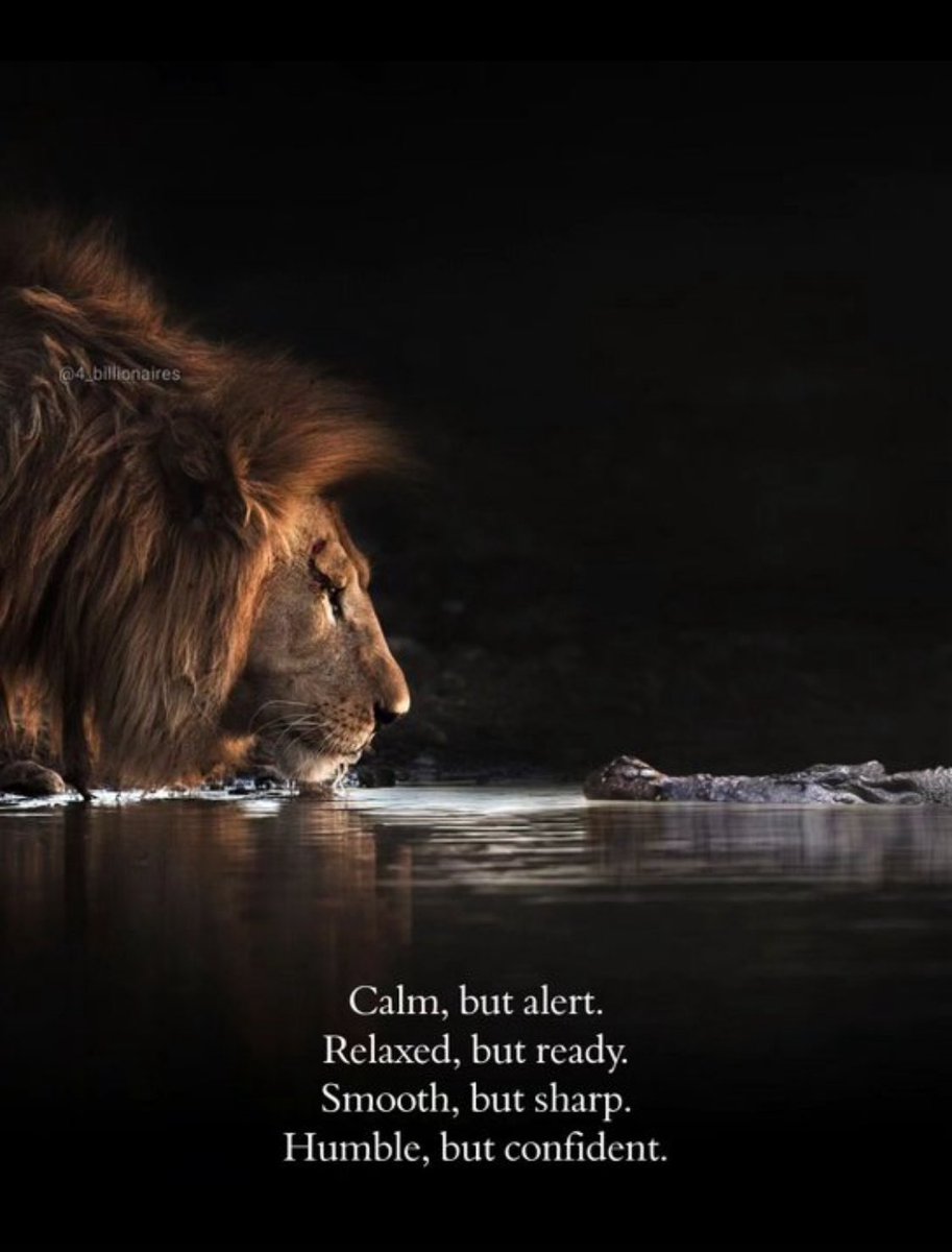 sadia waizi (@sadiawaizi) on Twitter photo 