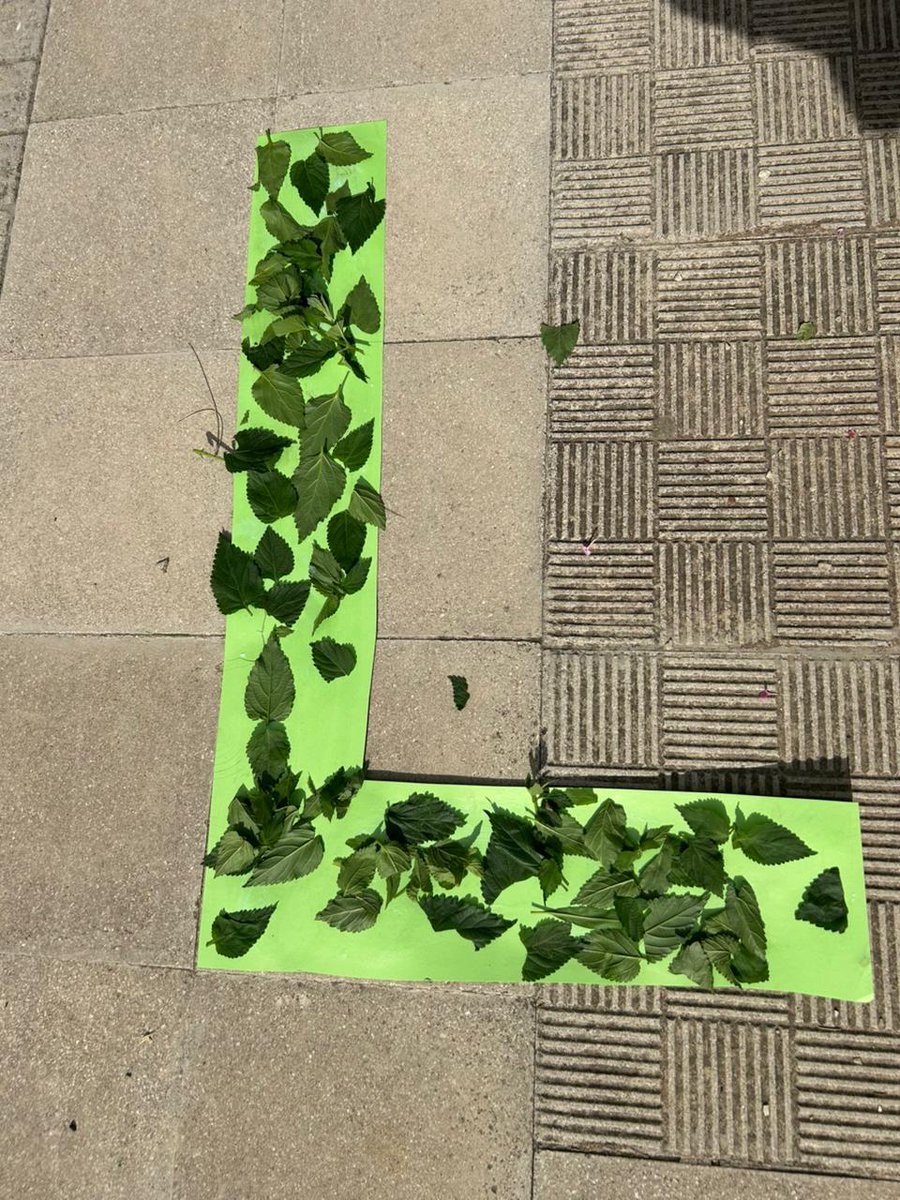 🍃🔤 Our explorers are on a nature hunt, collecting leaves and discovering the letter *L* in the world around them! A hands-on way to make literacy fun and meaningful! 🌿 #LearningThroughNature" <a href="/Hhhsinfo/">Houssam Hariri HS</a> <a href="/sashgh/">Sasha Ghosn</a> <a href="/dina_jradi/">Dina Jradi</a> <a href="/halalutfi/">Hala Lutfi</a> <a href="/monifa_baba/">Monifa Baba</a> <a href="/tbaassiri/">Tharwat Baassiri</a>