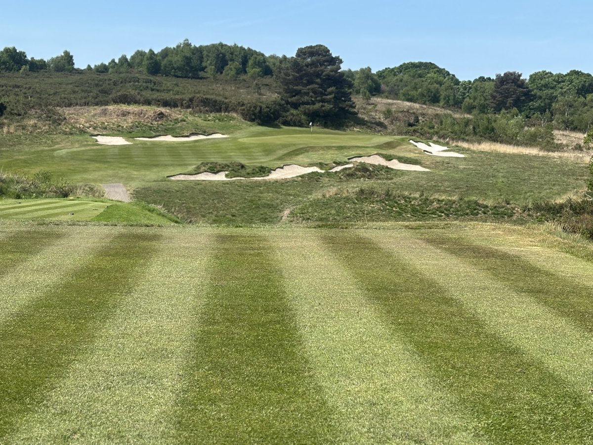 Paul Staples tweet media