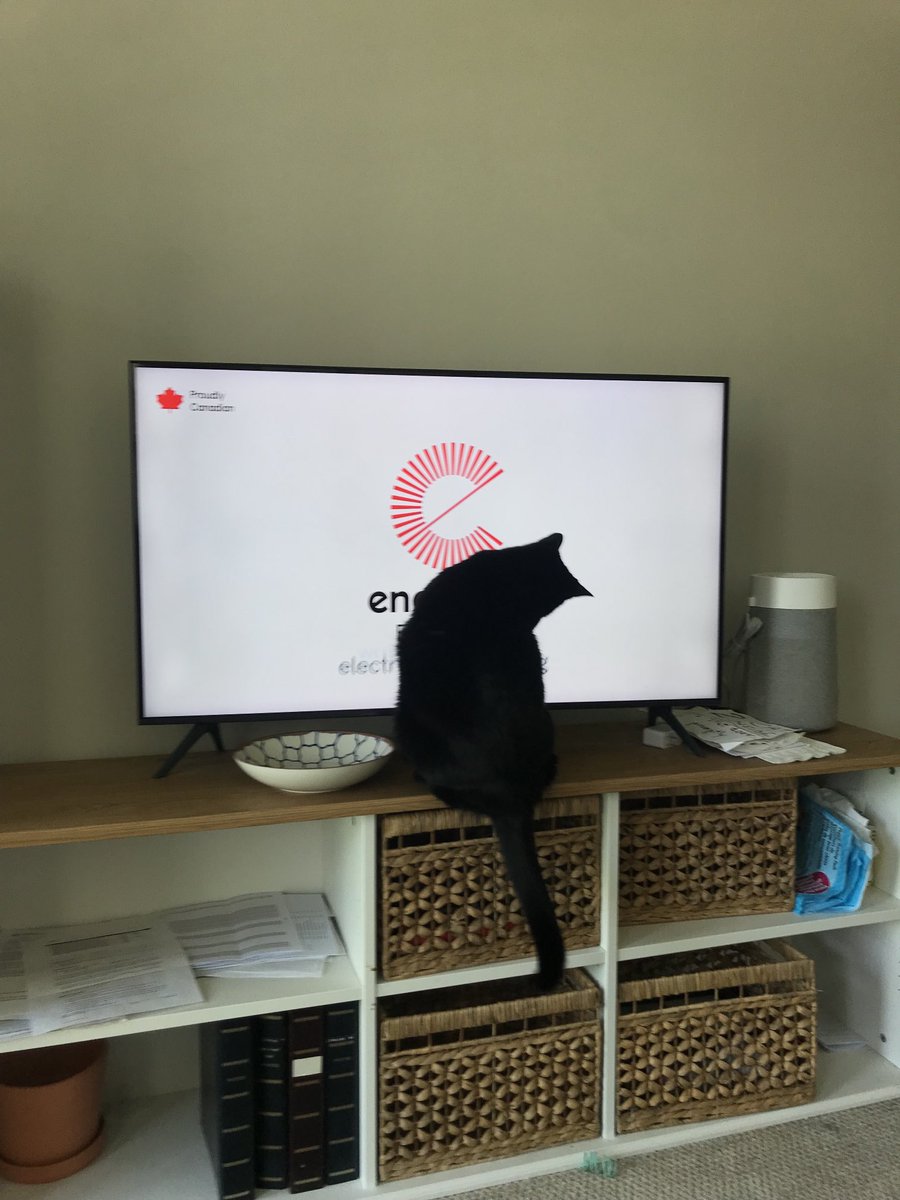 Enercare hummingbird drives my cat crazy and has caused my screen to fall over a few times.
