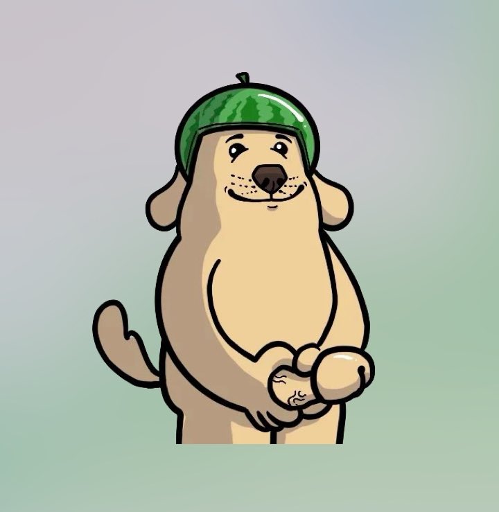 If you can't hold, you won't be rich. - CZ
 $MELON 🍉🍉