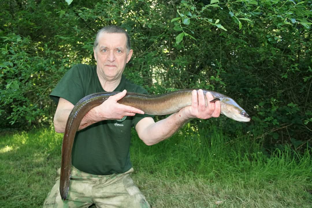 Simon aka a eel angler tweet media