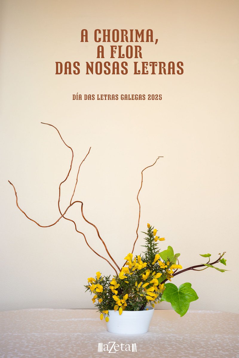Día 16 e 17 de Maio recorda o teu desconto en todo libro en galego na tua libraría de confianza ‼️

@azetanarede
#federacionlibrerias
#libreriaazeta
#azetalibreria 
#diadasletrasgalegas