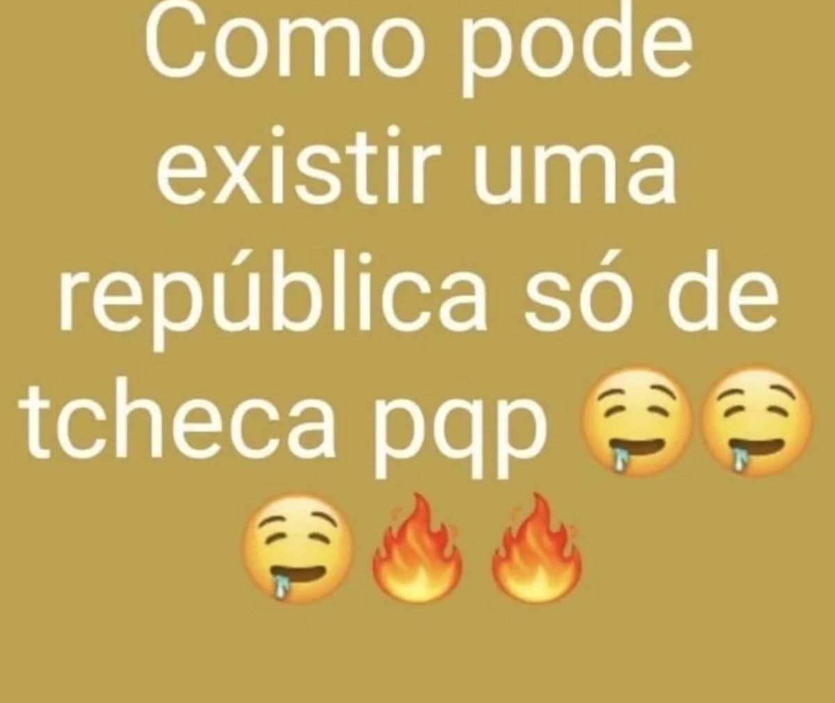 shitpostverdade's tweet photo. https://t.co/oS6soESEQi