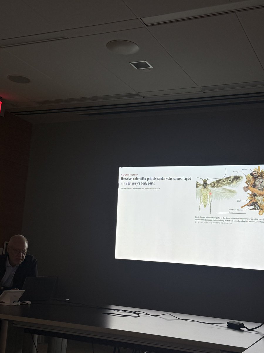 Eugenio Cingolani, MD (@eugeniocingolan) on Twitter photo Great presentations followed by two for one awesome presentations by Dr Eduardo Marban <a href="/MarbanLab/">Eduardo Marban, MD, PhD</a> about efforts being made towards a #tiny #absorbable #pacer followed by #Hawaiian #caterpillar a.k.a "the bone collector" / camouflage itself in spider webs ! <a href="/AMAZlNGNATURE/">Nature is Amazing ☘️</a> Great presentations followed by two for one awesome presentations by Dr Eduardo Marban <a href="/MarbanLab/">Eduardo Marban, MD, PhD</a> about efforts being made towards a #tiny #absorbable #pacer followed by #Hawaiian #caterpillar a.k.a "the bone collector" / camouflage itself in spider webs ! <a href="/AMAZlNGNATURE/">Nature is Amazing ☘️</a>