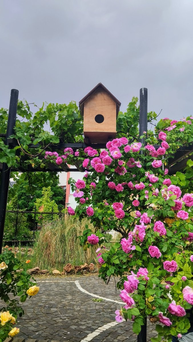 Telaşsiz , sakin ve Asude bir yaşam