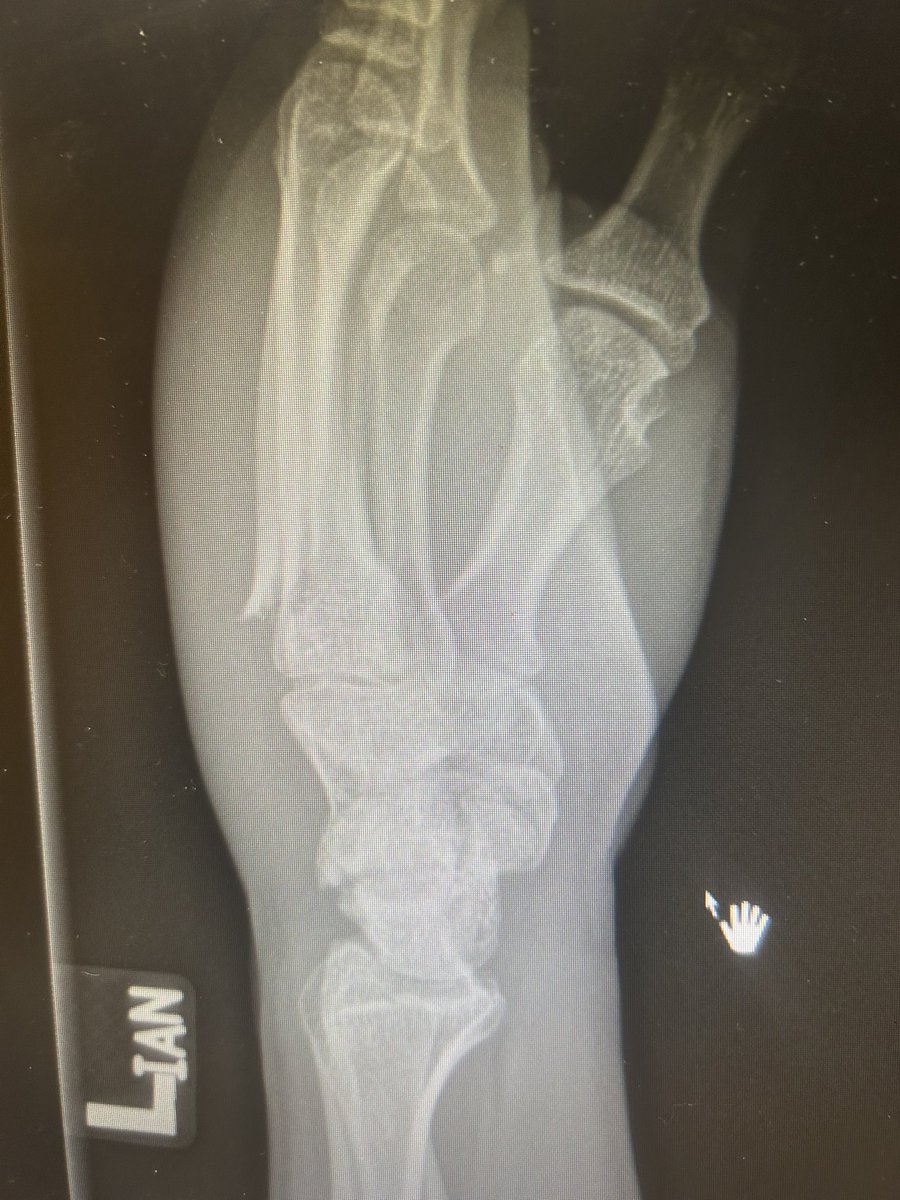 Christian North tweet media