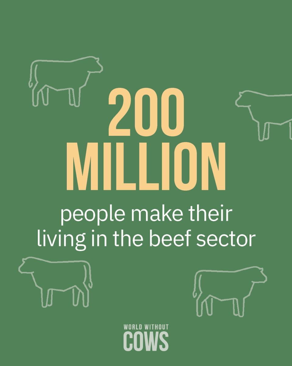 The beef industry is responsible for 200 million people's livelihoods through jobs in farming, processing and trade, strengthening economies from local ranches to global markets. #WorldWithoutCows #BeefMonth