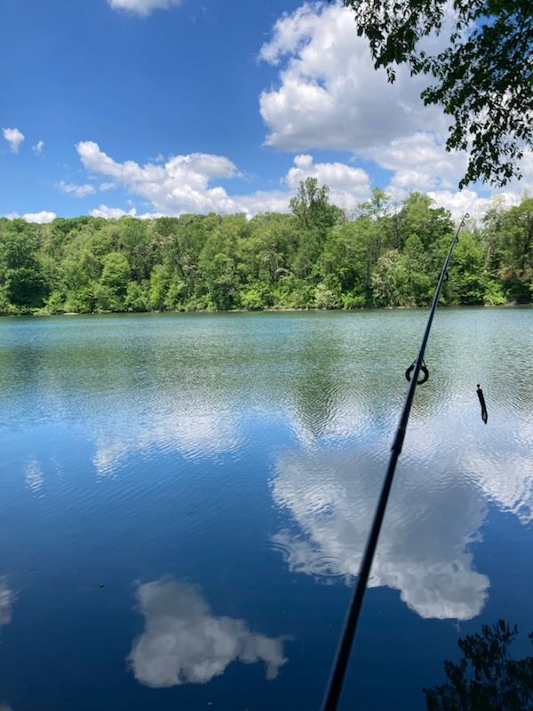 DonegalHS's tweet image. Our Outdoor Education class had a fun-filled day fishing at Lake Grubb. Check it out!  Check it out! #OutdoorEducation #HealthyLiving #DonegalLifeReady