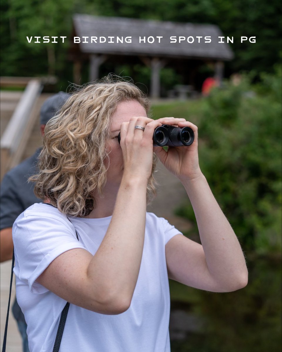 The BC Bird Trail tweet media