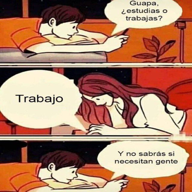 chincheto pirata somali (@wikipistacho) on Twitter photo 