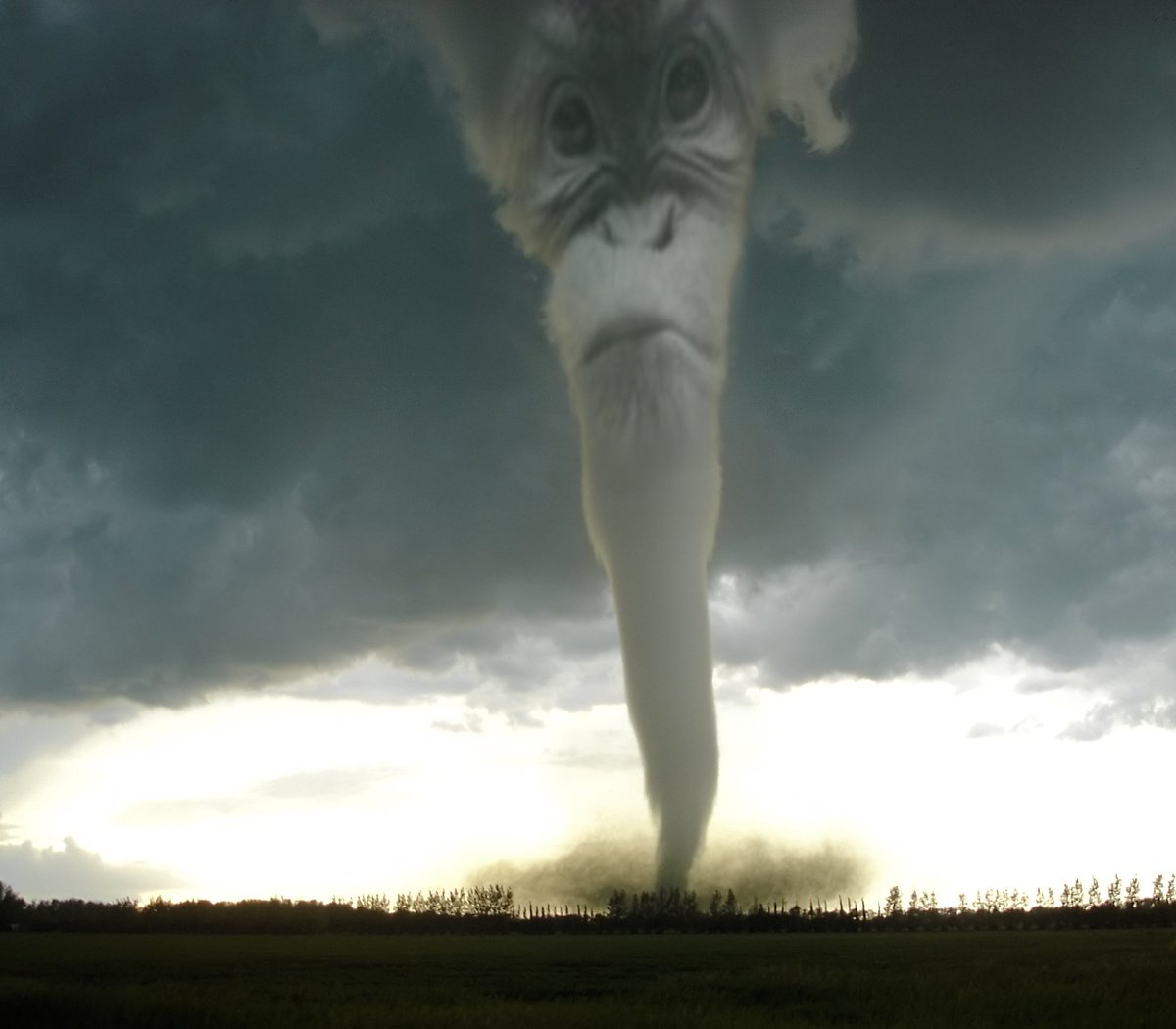 That tornado is mad as hell!! 😭😭 RUNN!!