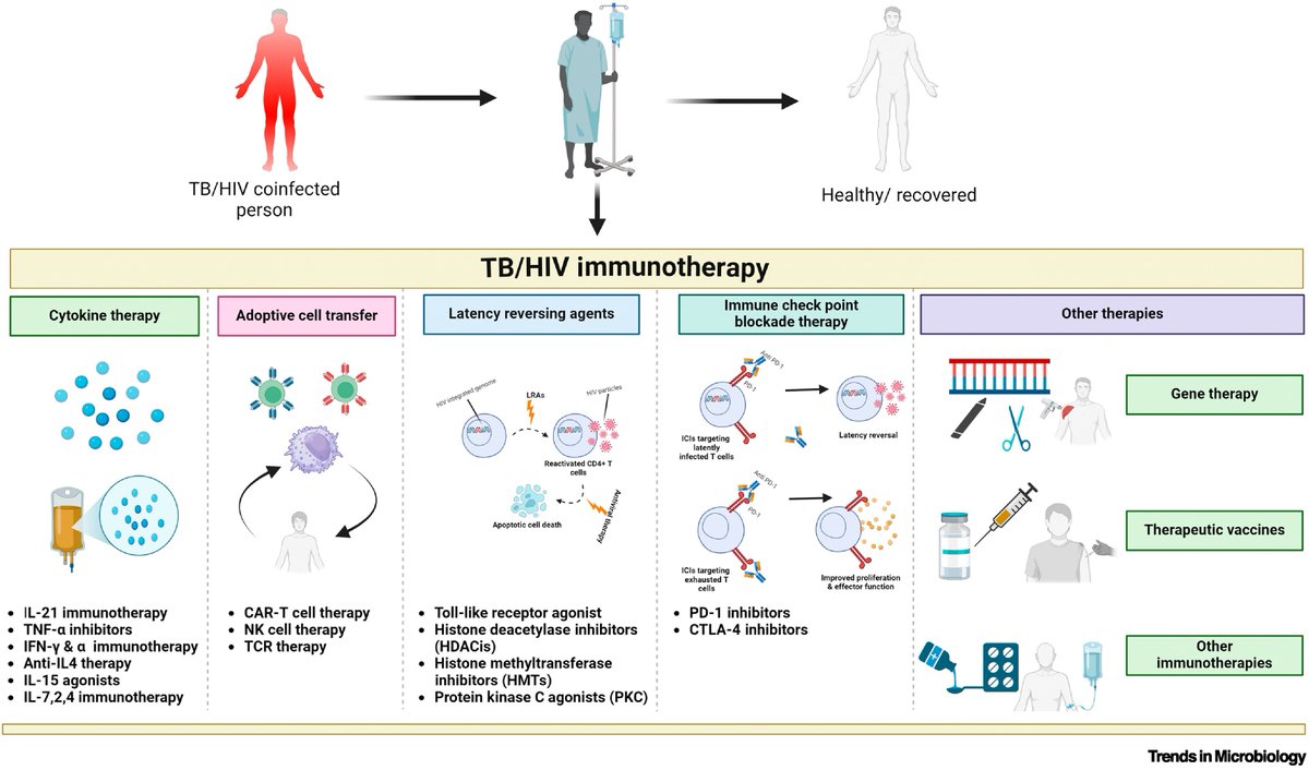 Immunology of Infectious Disease News (@infdisease_news) on Twitter photo ✅ Scientists at <a href="/txbiomed/">Texas Biomedical Research Institute</a> explore key host-directed therapies, including cytokine therapy, CAR-T cell therapy, and immune checkpoint inhibitors, which target Mycobacterium #tuberculosis-infected cells.
<a href="/TrendsMicrobiol/">Trends in Microbiology</a> | bit.ly/3GP3vaO ✅ Scientists at <a href="/txbiomed/">Texas Biomedical Research Institute</a> explore key host-directed therapies, including cytokine therapy, CAR-T cell therapy, and immune checkpoint inhibitors, which target Mycobacterium #tuberculosis-infected cells.
<a href="/TrendsMicrobiol/">Trends in Microbiology</a> | bit.ly/3GP3vaO