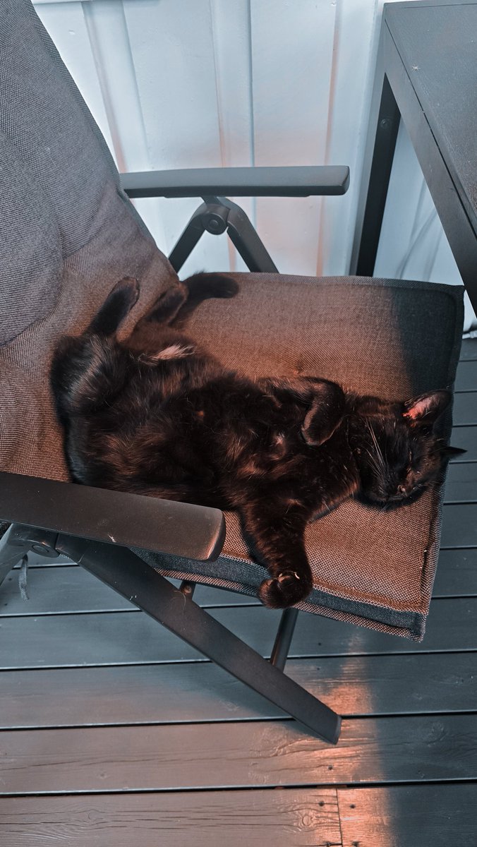 Tascha Röösli ⌛️🪱 tweet media