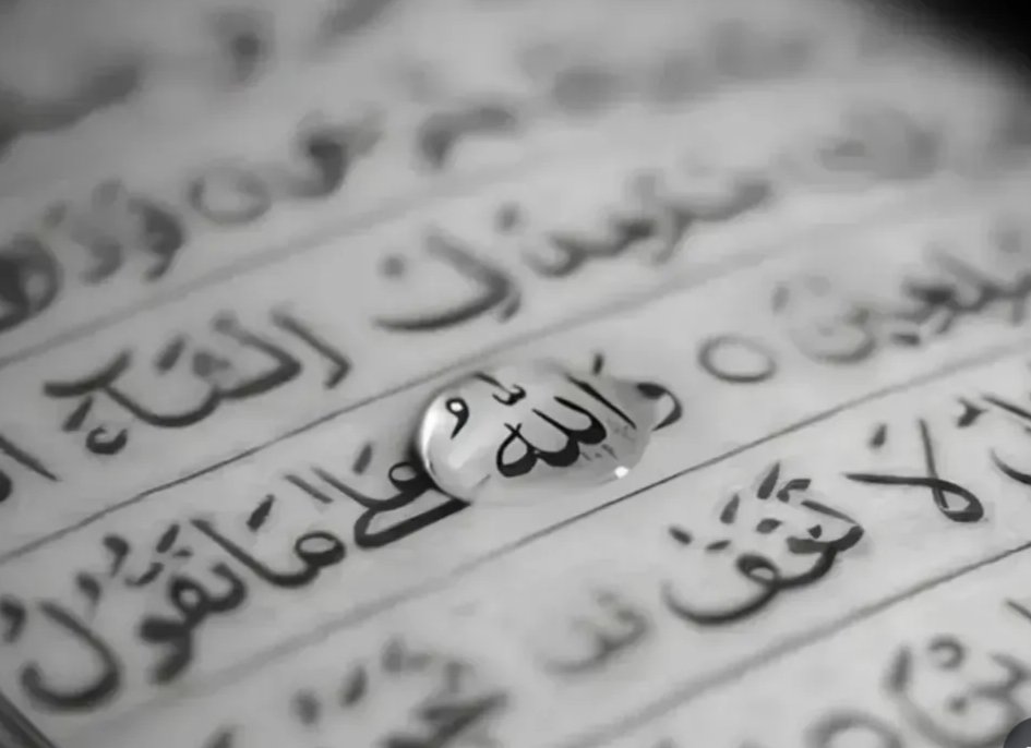 "Müminler yalnız Allah'a guvensinler."
(Al-i İmran 160)