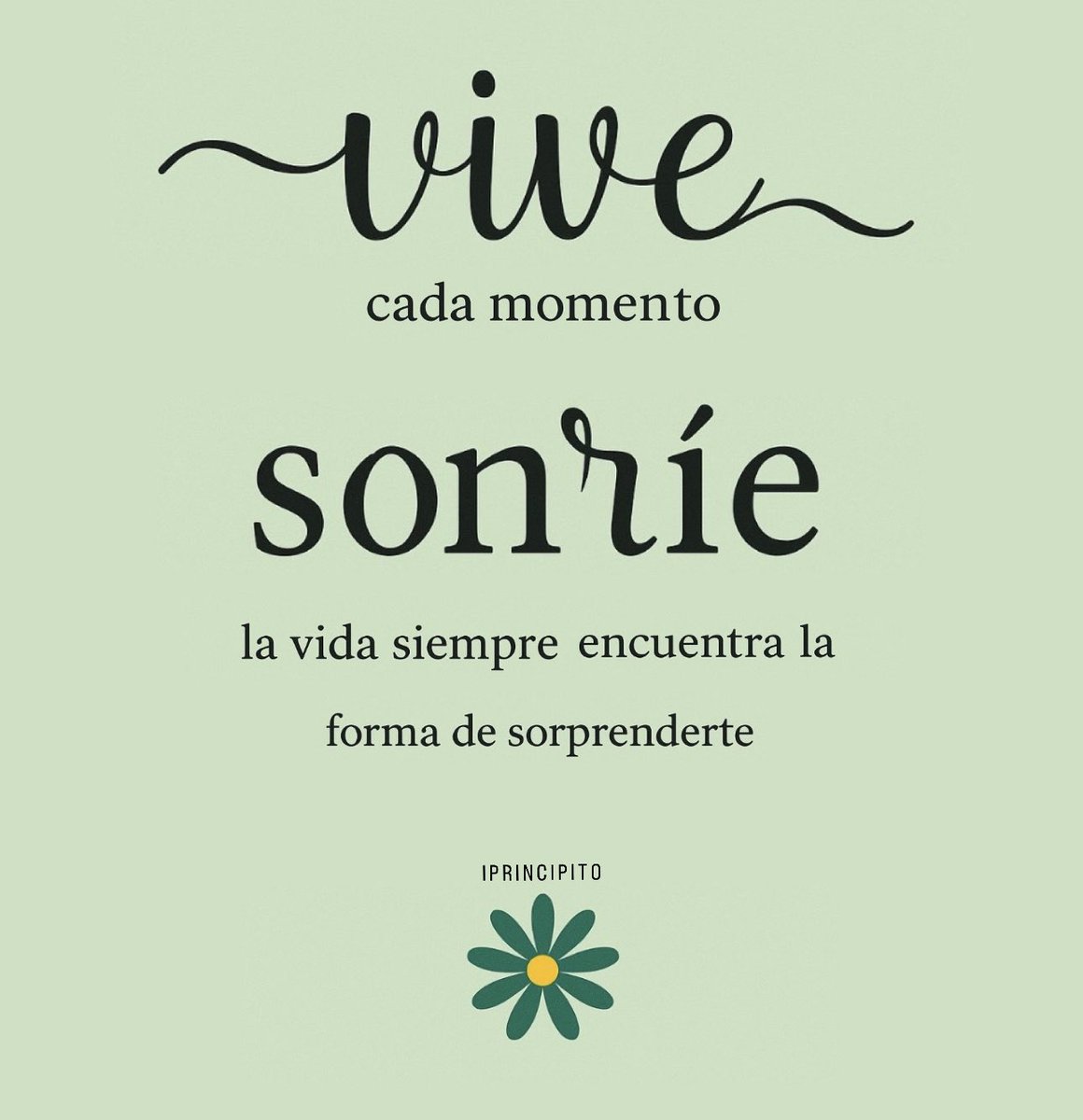 La vida está llena de momentos únicos que no se repiten, por eso es importante vivir cada uno con intensidad, con los ojos abiertos y el corazón dispuesto. ✨