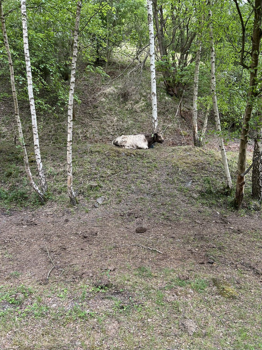 Kettering Wildlife corner tweet media