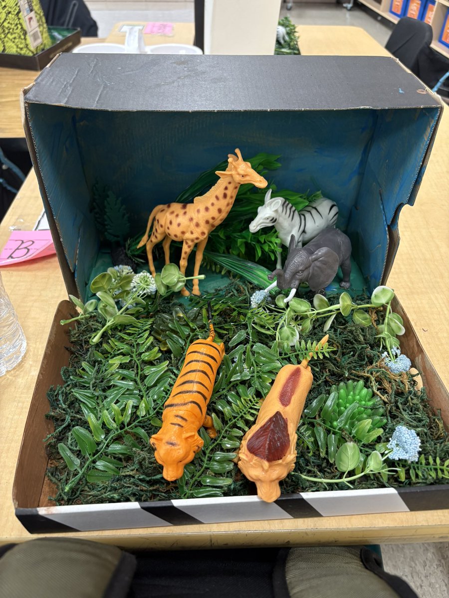 Olivia Lewis (@olivialeww_) on Twitter photo Module 9 research based project with a twist. The hard work and creativeness that these ALMOST 3rd graders have accomplished amazes me. So proud! Would you like to go to these fun habitats???? ⭐️✏️
<a href="/flesbcps/">Featherbed Lane Elem</a> <a href="/TheTeacherRoom/">HMH</a> <a href="/mwebsterbcps/">Michelle Webster</a> Module 9 research based project with a twist. The hard work and creativeness that these ALMOST 3rd graders have accomplished amazes me. So proud! Would you like to go to these fun habitats???? ⭐️✏️
<a href="/flesbcps/">Featherbed Lane Elem</a> <a href="/TheTeacherRoom/">HMH</a> <a href="/mwebsterbcps/">Michelle Webster</a>