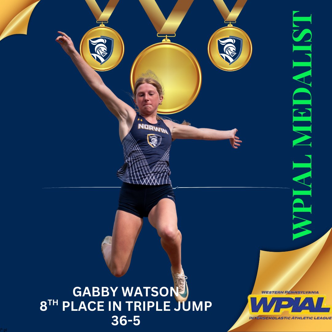 Norwin Track & Field tweet media