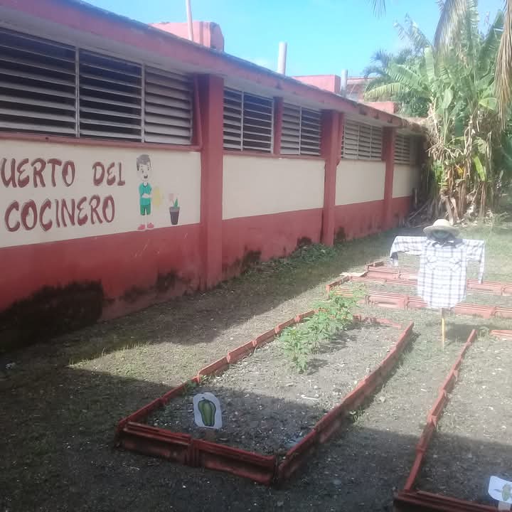 PrimariaJoseMa2's tweet photo. Se realiza formación laboral en nuestro centro educacional en saludo al 17 de mayo día del campesino.  #EducacionVillaClara #Ranchuelo
@Yamilet50088609
 @CubaMined  @coralia_saez @FarinaEstevez @Dme_Ranchuelo  @MenendezRiveros @dpevillaclara https://t.co/JXHedikSXS