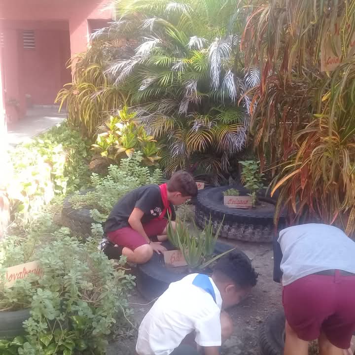 PrimariaJoseMa2's tweet photo. Se realiza formación laboral en nuestro centro educacional en saludo al 17 de mayo día del campesino.  #EducacionVillaClara #Ranchuelo
@Yamilet50088609
 @CubaMined  @coralia_saez @FarinaEstevez @Dme_Ranchuelo  @MenendezRiveros @dpevillaclara https://t.co/JXHedikSXS