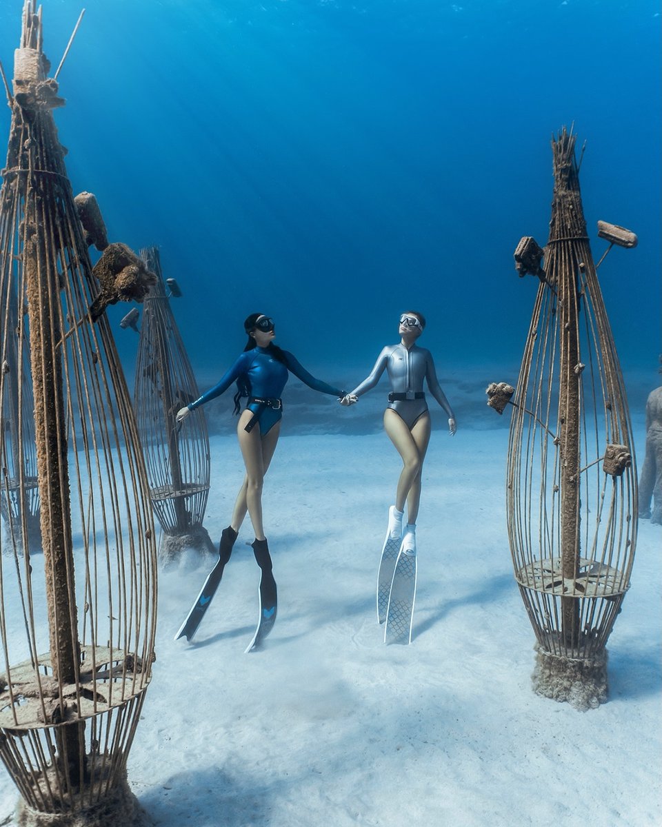 scubadivingyard's tweet image. Here we are, enjoying the silence at the bottom of the sea🩵There is something magical about those seconds spent underwater, surrounded by tranquility

.
.
.

#underwater #underwaterphotography #diving #freediving #sea #oceanview #naturegeography