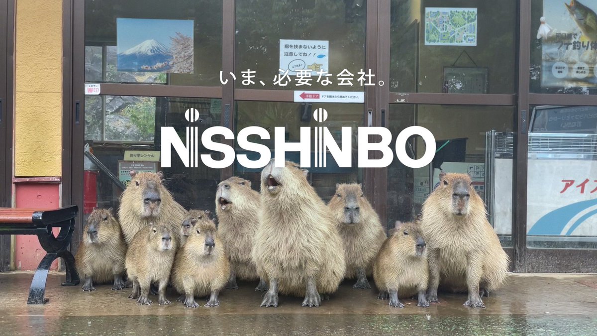 おはカピ～🌞

ついに金曜日！久しぶりの５連勤はいかがでしたか？

これが８月まで続くとなると話が違う...と感じております(;´Д｀)

なんだか、ちょっと嬉しいことを探しつつ頑張っていきましょ～✊