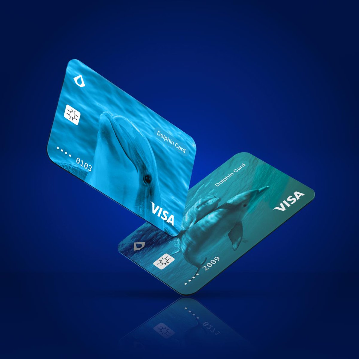 AQUA Wallet ๐โก๏ธ (@aquabitcoin) on Twitter photo ๐จ HUGE NEWS! ๐๐ณ
The Dolphin Visaยฎ Card is finally HERE!
Spend your #Bitcoin and <a href="/Liquid_BTC/">Liquid Network ๐</a> directly from AQUA, anytime, anywhere. No banks, no friction, just pure monetary freedom. ๐ฌ๐ฅ ๐จ HUGE NEWS! ๐๐ณ
The Dolphin Visaยฎ Card is finally HERE!
Spend your #Bitcoin and <a href="/Liquid_BTC/">Liquid Network ๐</a> directly from AQUA, anytime, anywhere. No banks, no friction, just pure monetary freedom. ๐ฌ๐ฅ