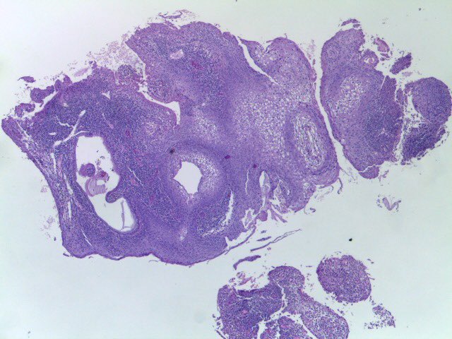 Sandro Casavilca-Zambrano tweet media