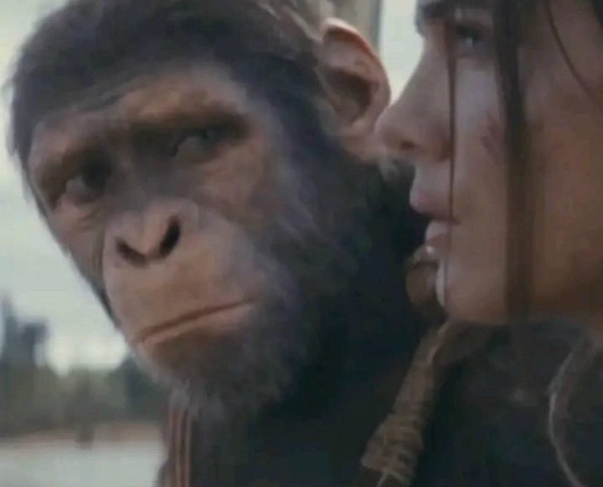 popitforpoppa's tweet image. when you realize she’s a whore mid relationship