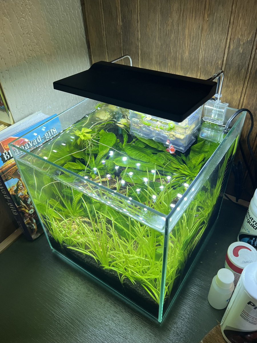 GRROWLS's tweet photo. @EchoAngelpaw Of course!! My son lives in there https://t.co/BHcAGjPZHm