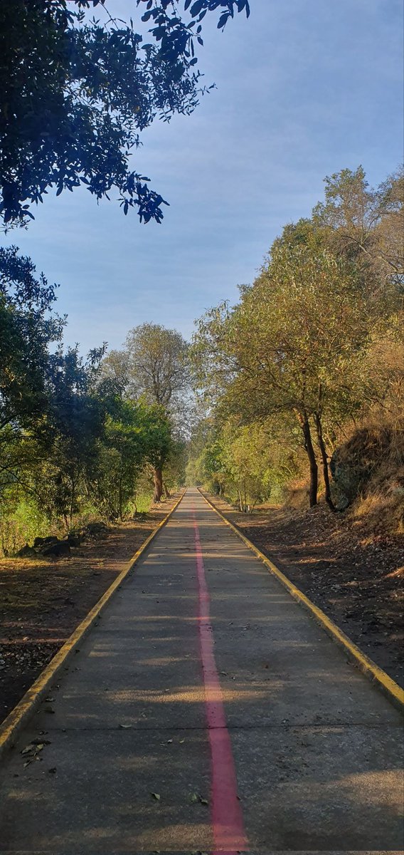 Chazaam3's tweet photo. Disfrutando de  cada km en compañía de DIOS y mi Padre desdé él cielo🕊☝🏼 Objetivo #MaratonCDMXTelcel2025 🇲🇽 🐢🏃🏻🦖🏃🏻‍♂️🦖 🏃🏻🕊🙏🏼🙌🏼🤲🏼👐🏼🌞🍀
#CiclopistaPichachoAjuscocdmx 🇲🇽
Bendiciones para tod@s ustedes de corazón 🕊 😌 🙏🏼 https://t.co/fz5RkM7Ich