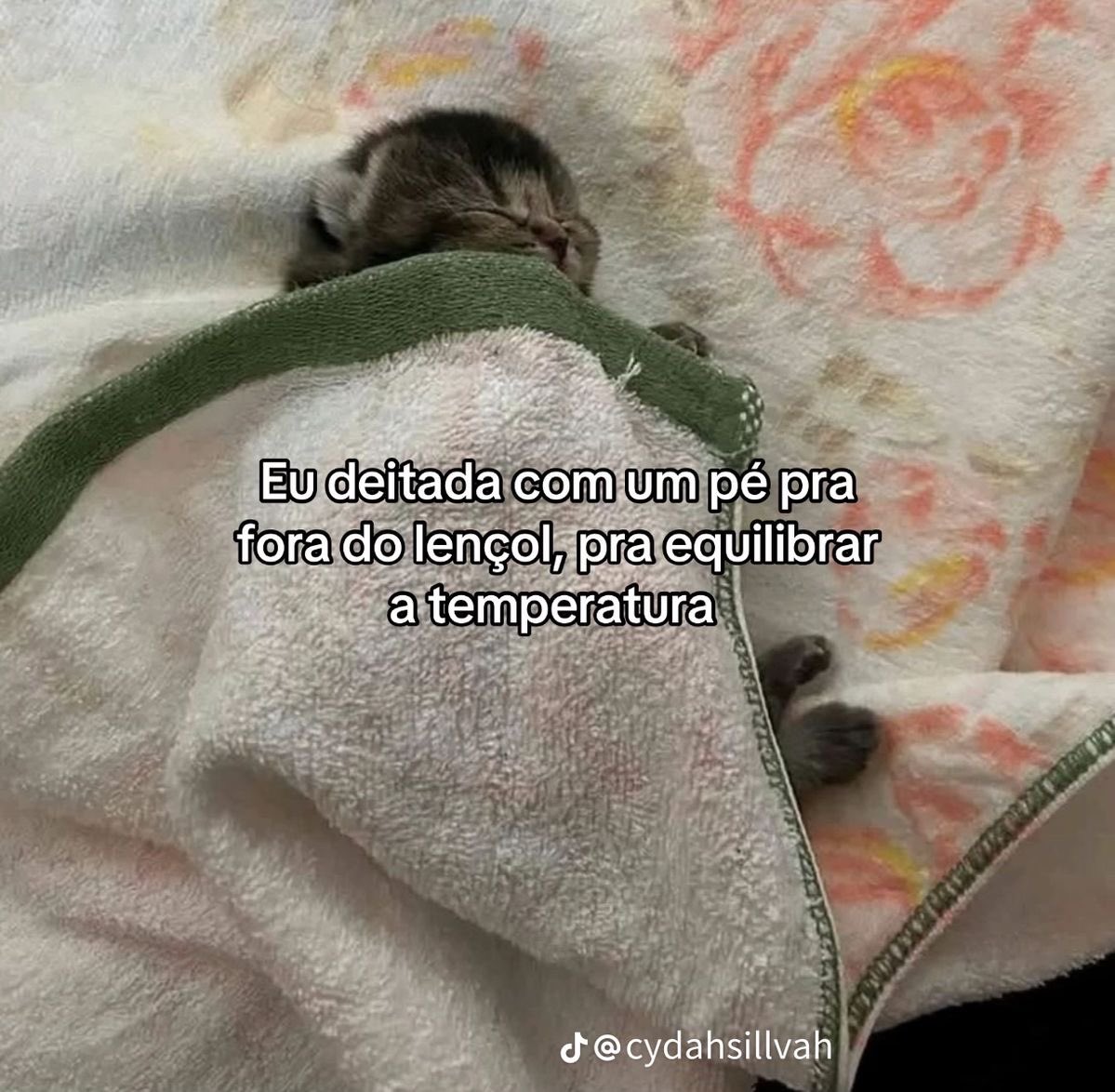 Pagina lixo (@paginalixo1) on Twitter photo 