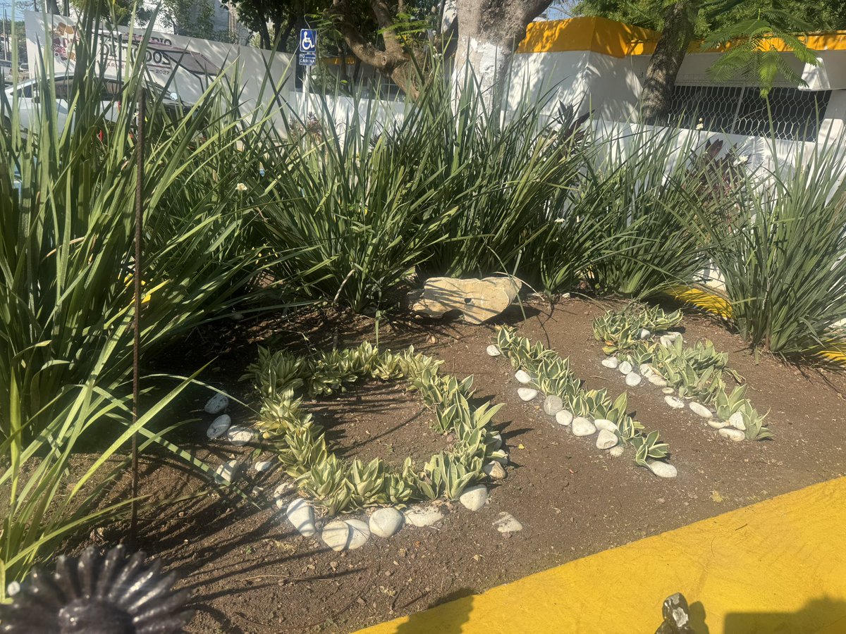 Jornada lista 🙌🏽