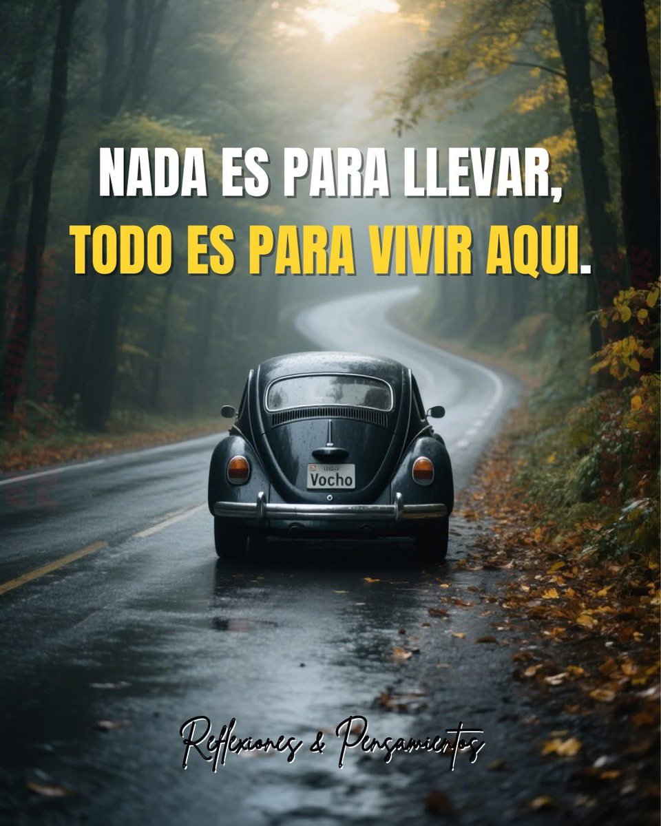 Freak2306's tweet photo. Mil puntos para este post https://t.co/jjroV2LCod