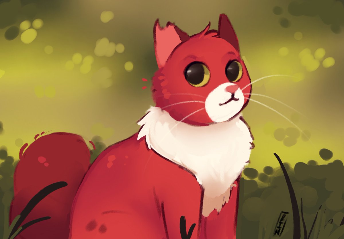 Squirrelflight! 
Art made by me in Procreate. 
#art #artist #wctwt #warriors #warriorcats #squirrelflight #illustration