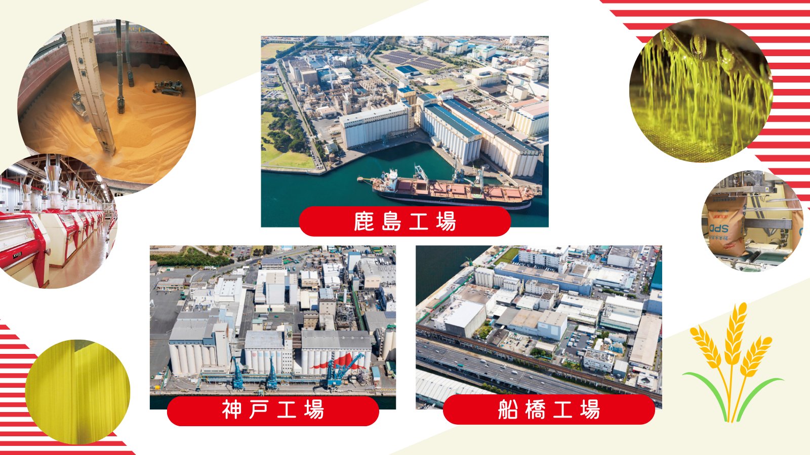 芸能人愛用 昭和産業【公式】 on X:  その他