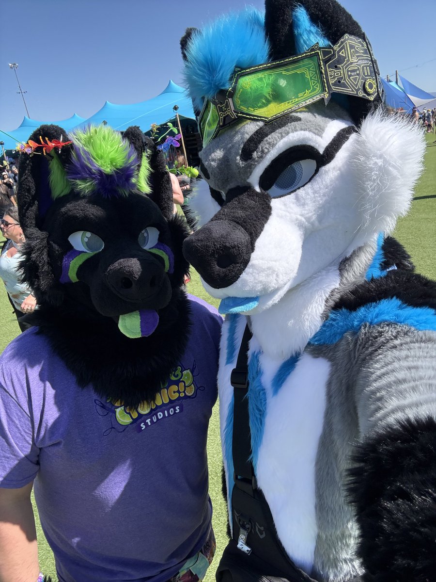 Shadow the Wusky (@shadowthewusky) on Twitter photo Walking around the mesa at #EDCLV2025 camp with the my love <a href="/badg3rbadg3r/">Zeke DaBusky</a>
#FURRY #gay #gayfurry #gaypup #pup Walking around the mesa at #EDCLV2025 camp with the my love <a href="/badg3rbadg3r/">Zeke DaBusky</a>
#FURRY #gay #gayfurry #gaypup #pup