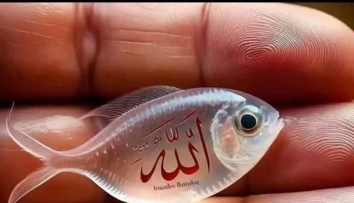 ميدو (@mydw65005) on Twitter photo 