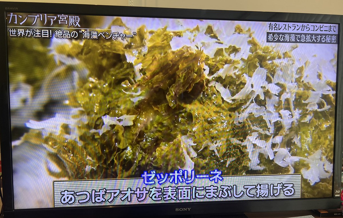 smashimo's tweet image. 昨夜のカンブリア宮殿、海藻ベンチャーさんの特集を観ていたら、大好きなpizza4P`s麻布台が🍕
あのアオサのピザも、友達とじゃんけんで取り合ったザッポリーネも、シーベジタブルの海藻だったらしい!
美味しいだけじゃない。って後から知ると嬉しいな✨